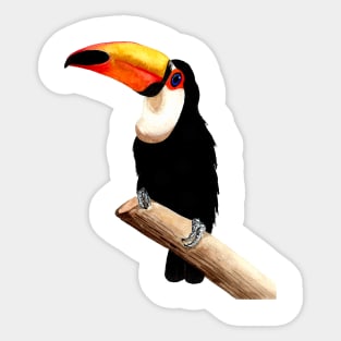 Toucan Sticker